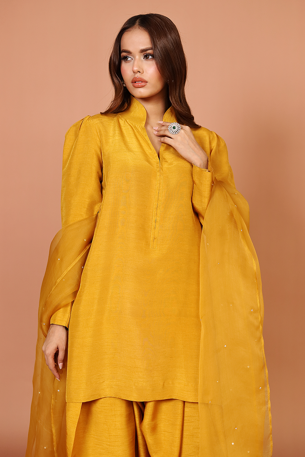Mustard Farshi
