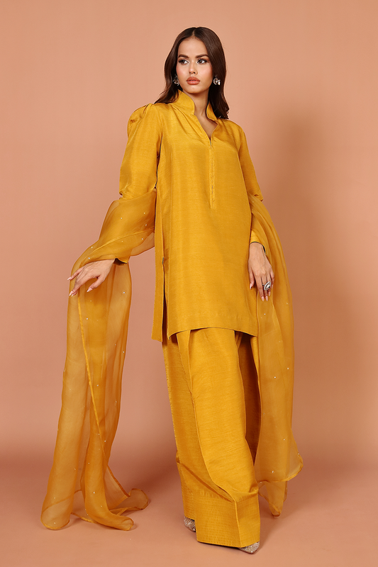 Mustard Farshi