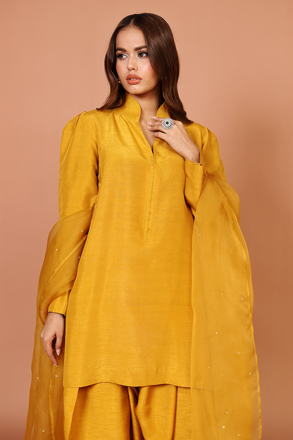 Mustard Farshi